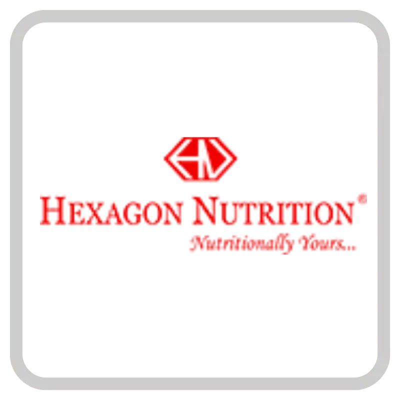hexagone Logo | Salestrip SFA Clients